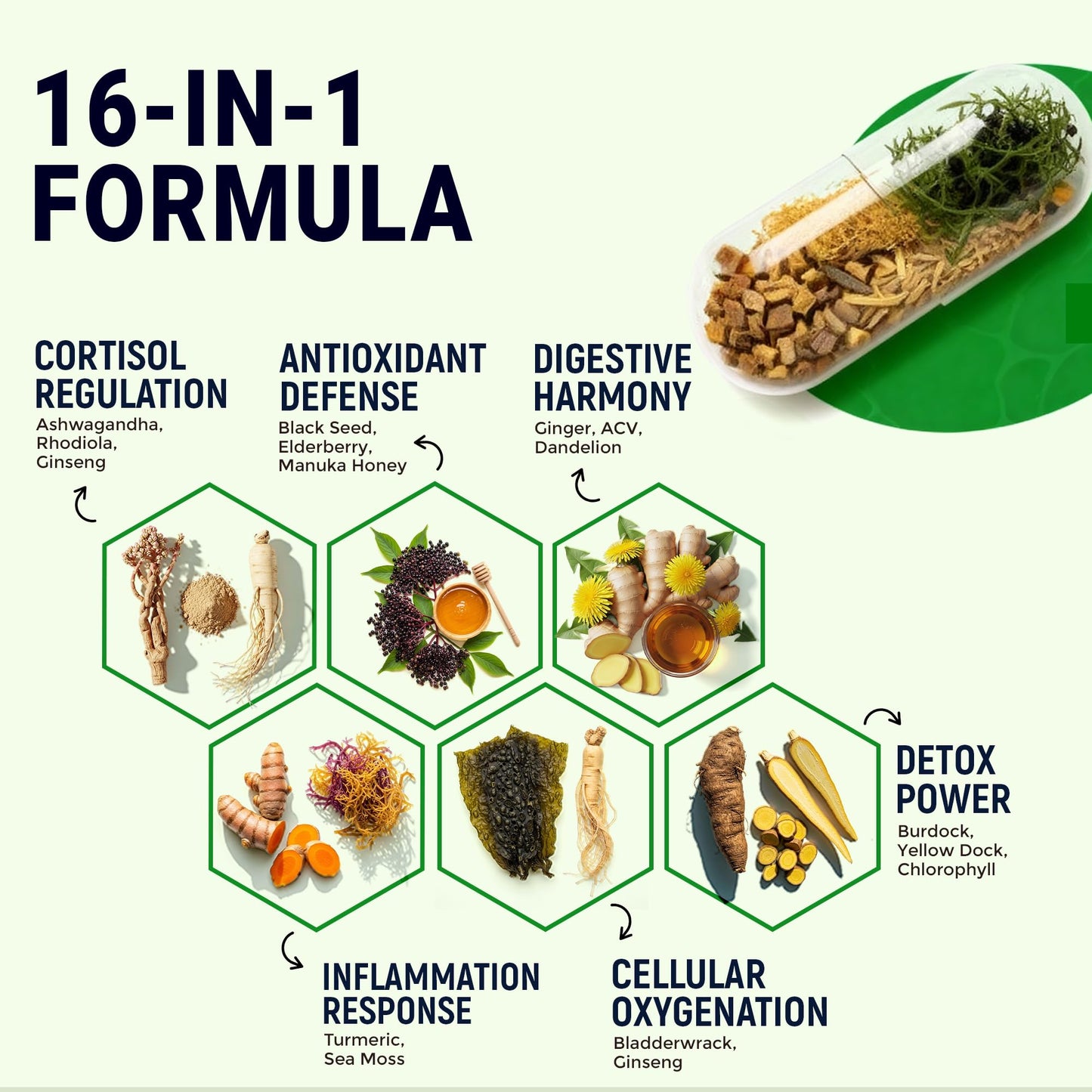 Sea Moss Black Seed Oil Ashwagandha Ginger - Advanced Irish Sea Moss Capsules All in One Supplement with Seamoss Black Seed Oil Ashwagandha Burdock Root Bladderwrack - Pills for Energy, Immune, Gut Opti HealthBuy Supplements Australia