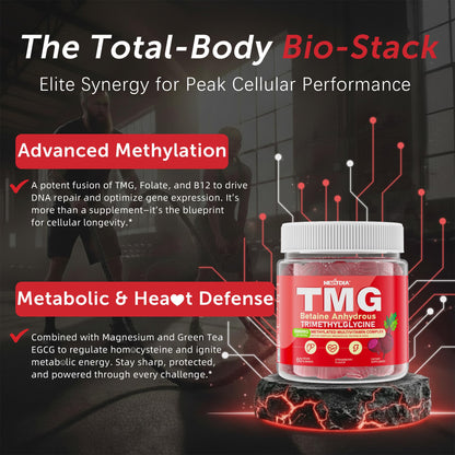 2Pack TMG Gummies 1000mg Betaine Anhydrous + Methylated Multivitamin & B Complex Methylated(Methylfolate B12 B6), Magnesium, Taurine - Essential Trimethylglycine for Homocysteine Levels, Brain, Energy NextdiaBuy Supplements Australia