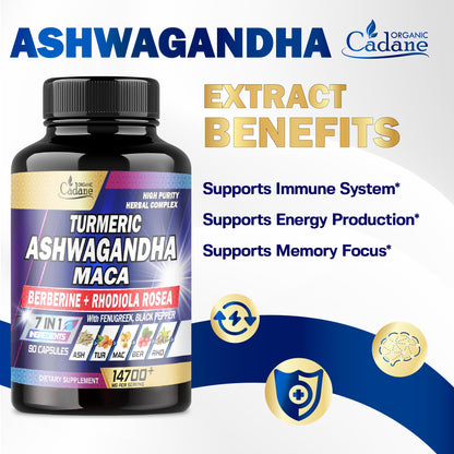 Ashwagandha Supplements 14700mg - Memory, Immune System & Strength Support Organic CadaneBuy Supplements Australia