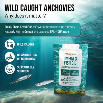 Omega 3 Fish Oil 4800 mg – EPA 1728 mg | DHA 1152 mg from Wild-Caught Anchovies – Burpless Mini Softgels – Pure Omega-3 Fatty Acid Supplement – Non-GMO, Gluten-Free, No Aftertaste – 240 Capsules MERRY VITABuy Supplements Australia