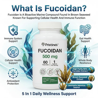 PRISTINE'S Fucoidan 500MG Immunity Supplement Capsules - 60 Day Supply - Brown Seaweed Extract - Potent Herbal Antioxidant Lung Health & Skin Health Support PRISTINE'SBuy Supplements Australia
