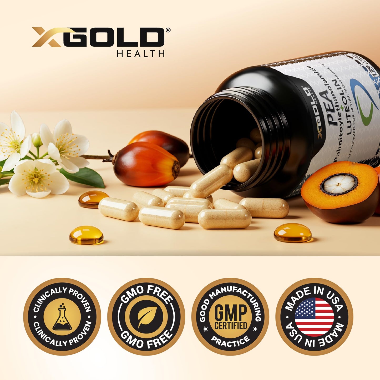 Palmitoylethanolamide 630 mg + Luteolin Standardized 98%- Micronized Pea 99% Highly Purified and Bioavailable - Made in USA - Supplement for Men and Women - 120 Veggie Capsules X Gold HealthBuy Supplements Australia