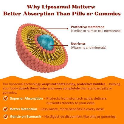 Vitaminally Women’s 50+ Liposomal Liquid Multivitamin – 16 Essential Vitamins & Minerals for Energy, Bone & Immune Support Vitaminally