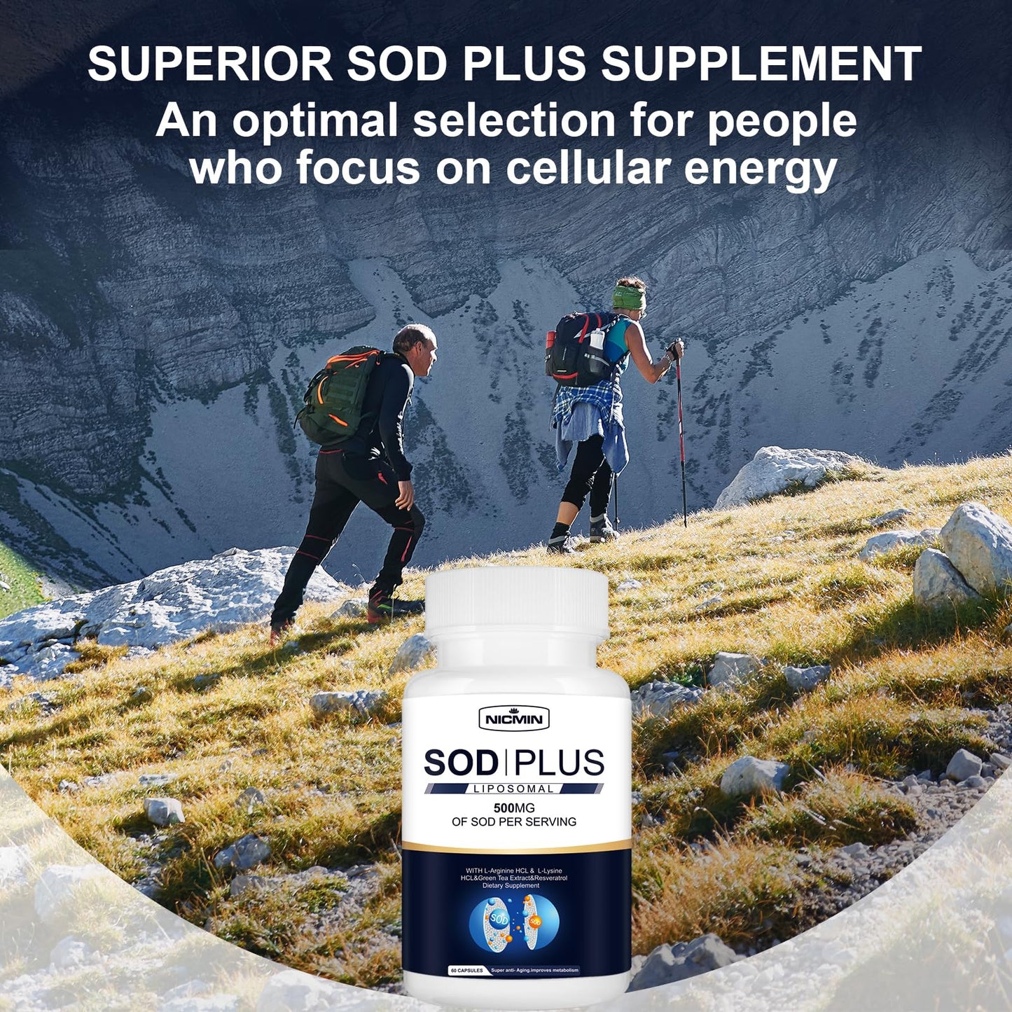 NICMIN 500MG Superoxide Dismutase Supplement - SOD Plus with Liposomal Glutathione, AKG, Green Tea Extract, L-Arginine, Lysine, Resveratrol and Vitamin E for Immune Support, Antioxidant 120 Capsules NICMINBuy Supplements Australia