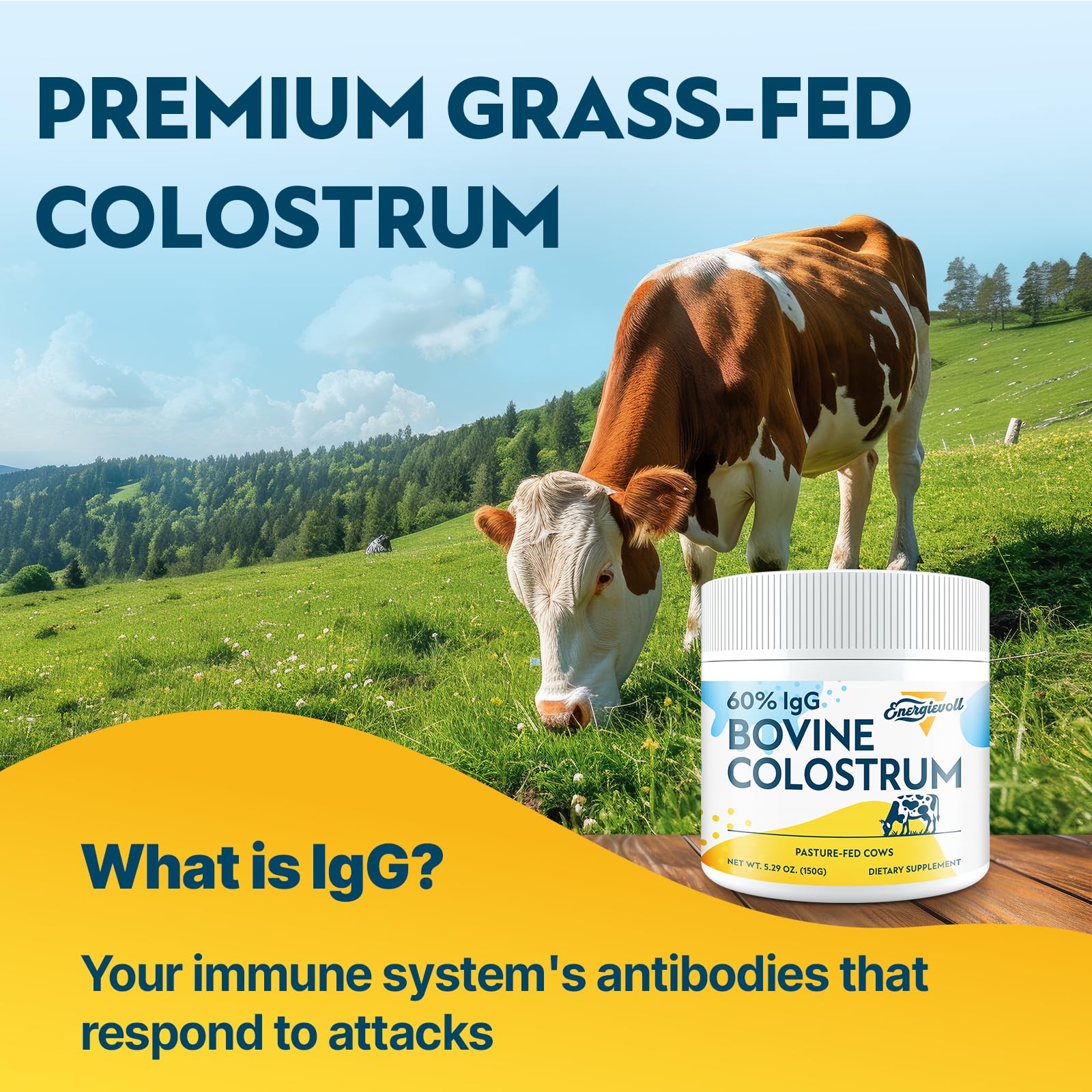 Energievoll Bovine Colostrum Supplement Powder - 60% IgG 3000 mg for Gut, Hair Growth, Beauty, and Immune, Easy to Mix, Unflavored (50 Servings) EnergievollBuy Supplements Australia