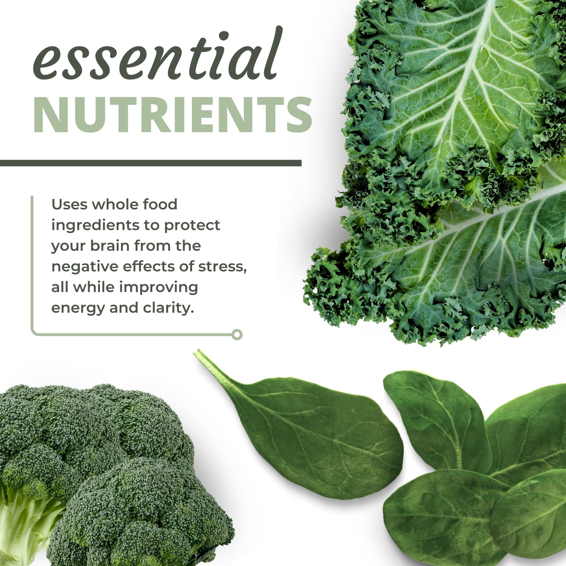 Optimal Health Systems NADH + DIM | Dr. Harris Essentials | Energy + Neurotransmitter Support | Plant-Based | Mental Clarity, Concentration, & Memory Supplement | 30 Capsules Optimal Health SystemsBuy Supplements Australia
