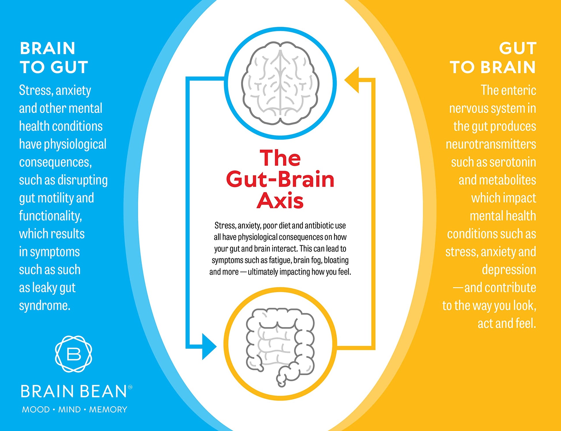 Brain Basics Ultra Pure IgG Supplement - Dairy-Free Supplement IgG-Immunolin Powder, Blended Vitamin & Mineral Supplements, 150g, 60 Servings Brain BeanBuy Supplements Australia