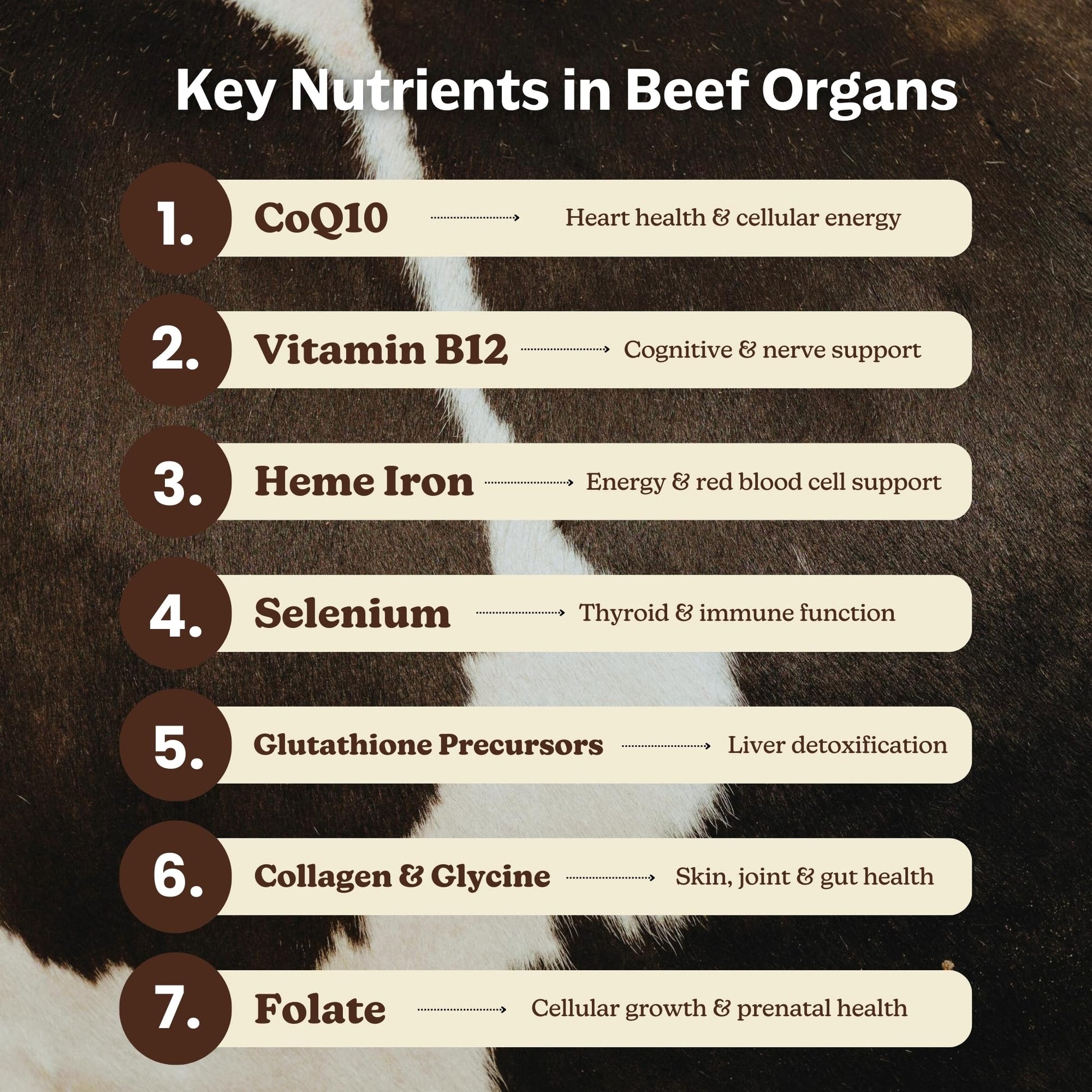 MK Supplements Grass-Fed Beef Organs Capsules | 5 Organs in Nature-Identical Ratios | B12, Copper & Heme Iron | Regeneratively Raised | 150 Capsules MK SupplementsBuy Supplements Australia