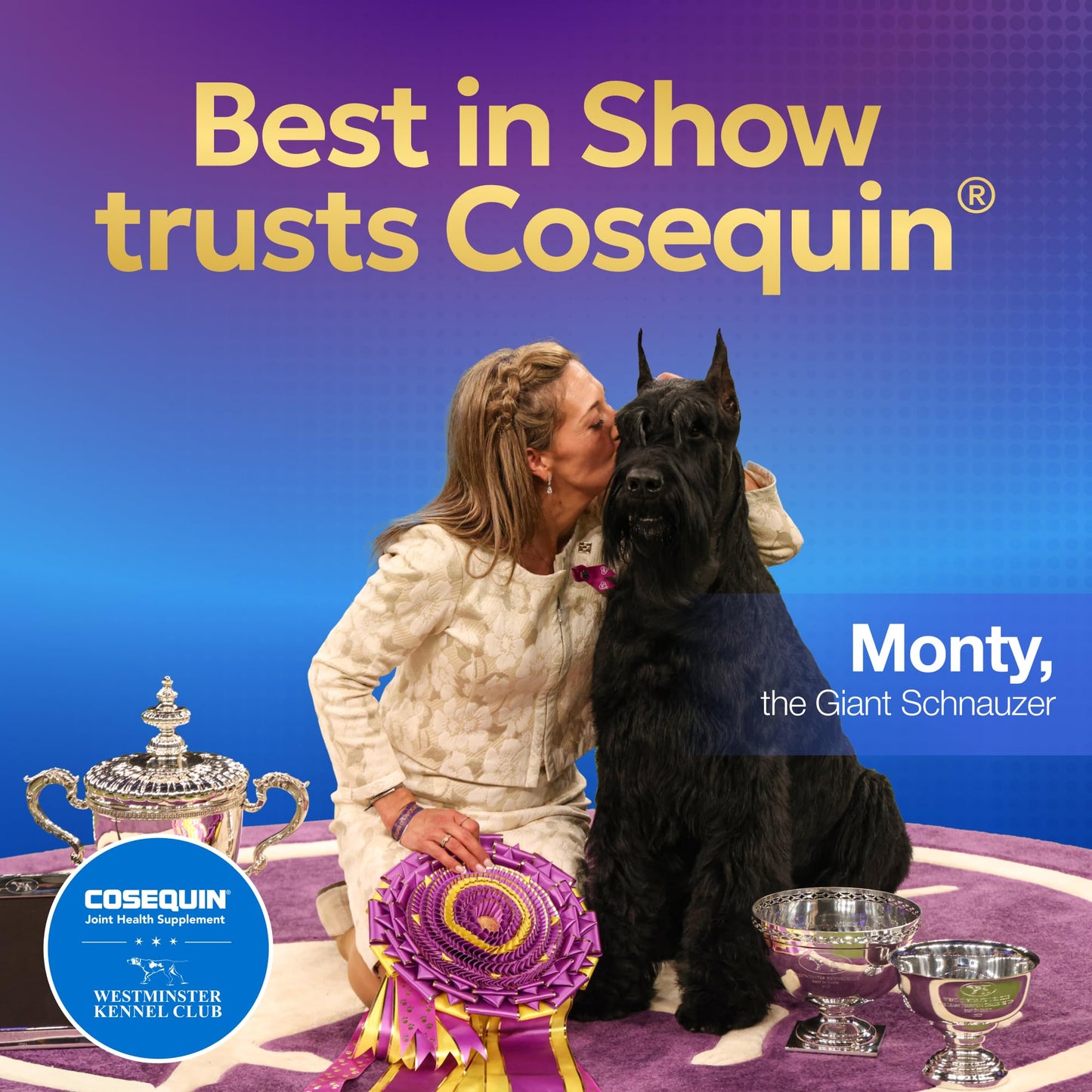 Nutramax Laboratories Cosequin Maximum Strength Joint Health Supplement for Dogs - With Glucosamine, Chondroitin, and MSM, 2 Pack, 264 Total Chewable Tablets Nutramax LaboratoriesBuy Supplements Australia