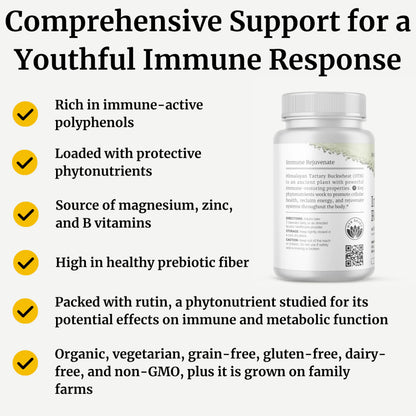 BIG BOLD HEALTH HTB Immune Rejuvenate - Polyphenols Supplement for Immune Support with Himalayan Tartary Buckwheat - Gluten Free, Dairy Free, Non-GMO Formula - 60 Vegetarian Capsules BIG BOLD HEALTHBuy Supplements Australia