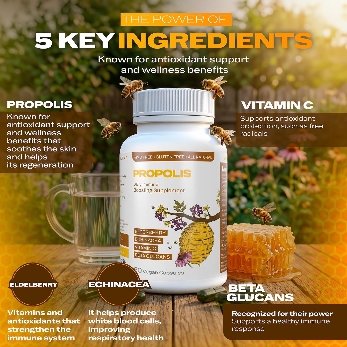 Only Nutri Labs Bee Propolis Dietary Supplement, with Elderberry, Echinacea, Vitamin C and Beta Glucans - Daily Wellness Capsules for Adults (60 Count) Only Nutri LabsBuy Supplements Australia