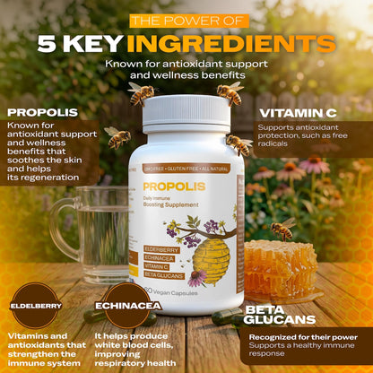 Only Nutri Labs Bee Propolis Dietary Supplement, with Elderberry, Echinacea, Vitamin C and Beta Glucans - Daily Wellness Capsules for Adults (60 Count) Only Nutri LabsBuy Supplements Australia