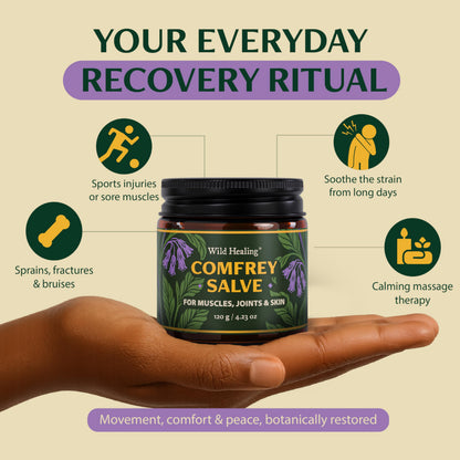 Wild Healing Comfrey Salve – Concentrated Herbal Balm with Arnica, Magnesium & MSM – Soothing Botanical Cream for Joints, Muscles & Dry Skin – 4.23 oz Wild HealingBuy Supplements Australia
