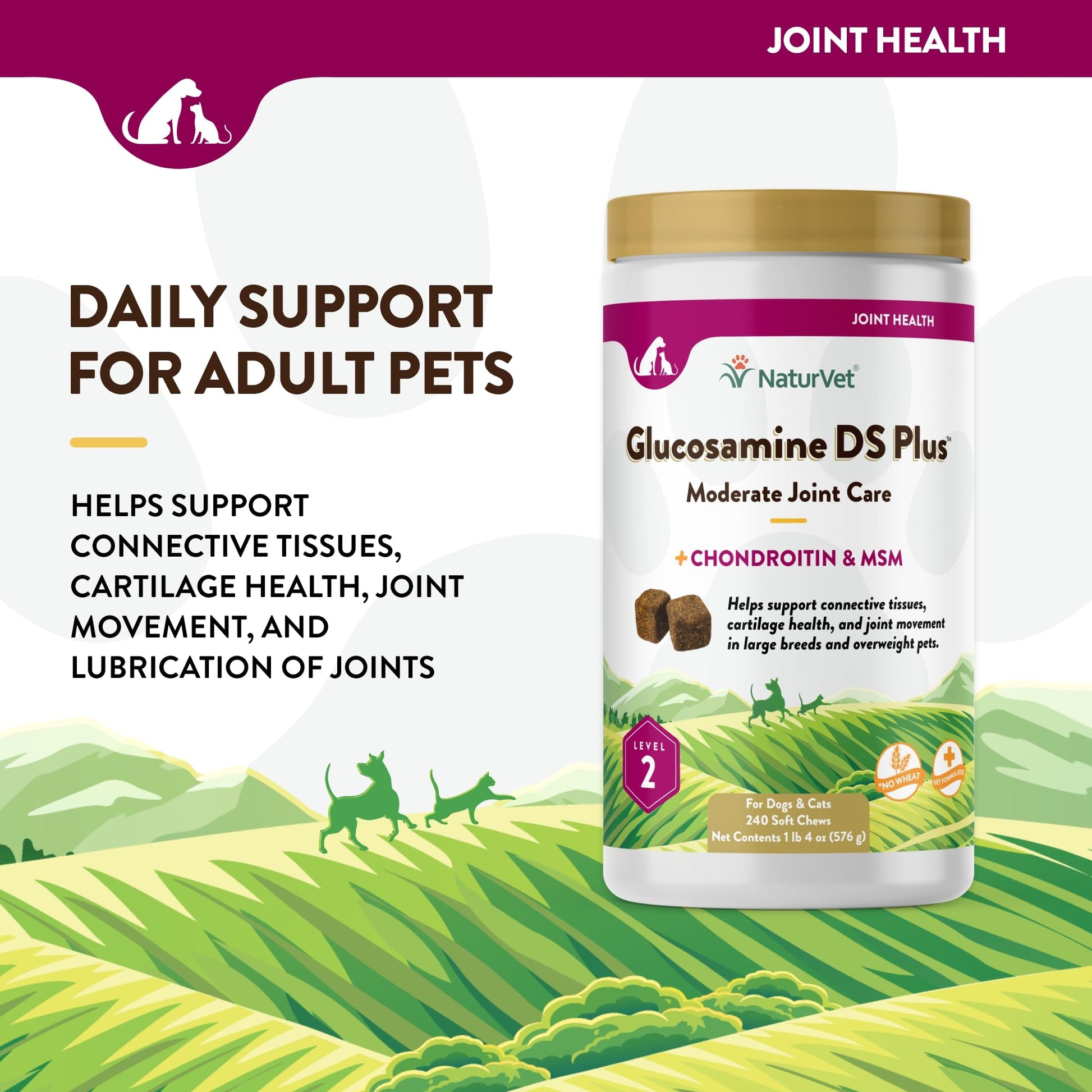 NaturVet – Glucosamine DS Plus - Level 2 Moderate Care – Supports Healthy Hip & Joint Function – Enhanced with Glucosamine, MSM & Chondroitin – for Dogs & Cats – 240 Soft Chews NaturVetBuy Supplements Australia