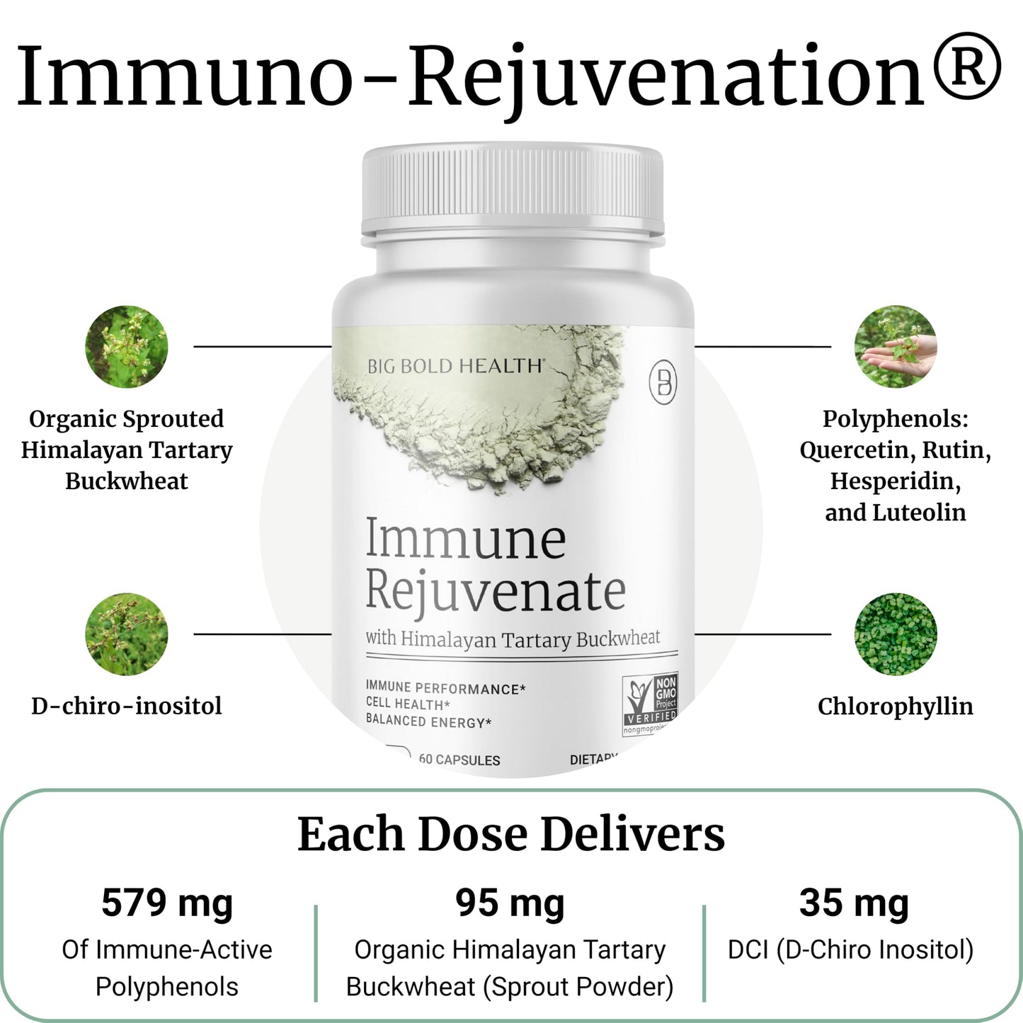 BIG BOLD HEALTH HTB Immune Rejuvenate - Polyphenols Supplement for Immune Support with Himalayan Tartary Buckwheat - Gluten Free, Dairy Free, Non-GMO Formula - 60 Vegetarian Capsules BIG BOLD HEALTHBuy Supplements Australia