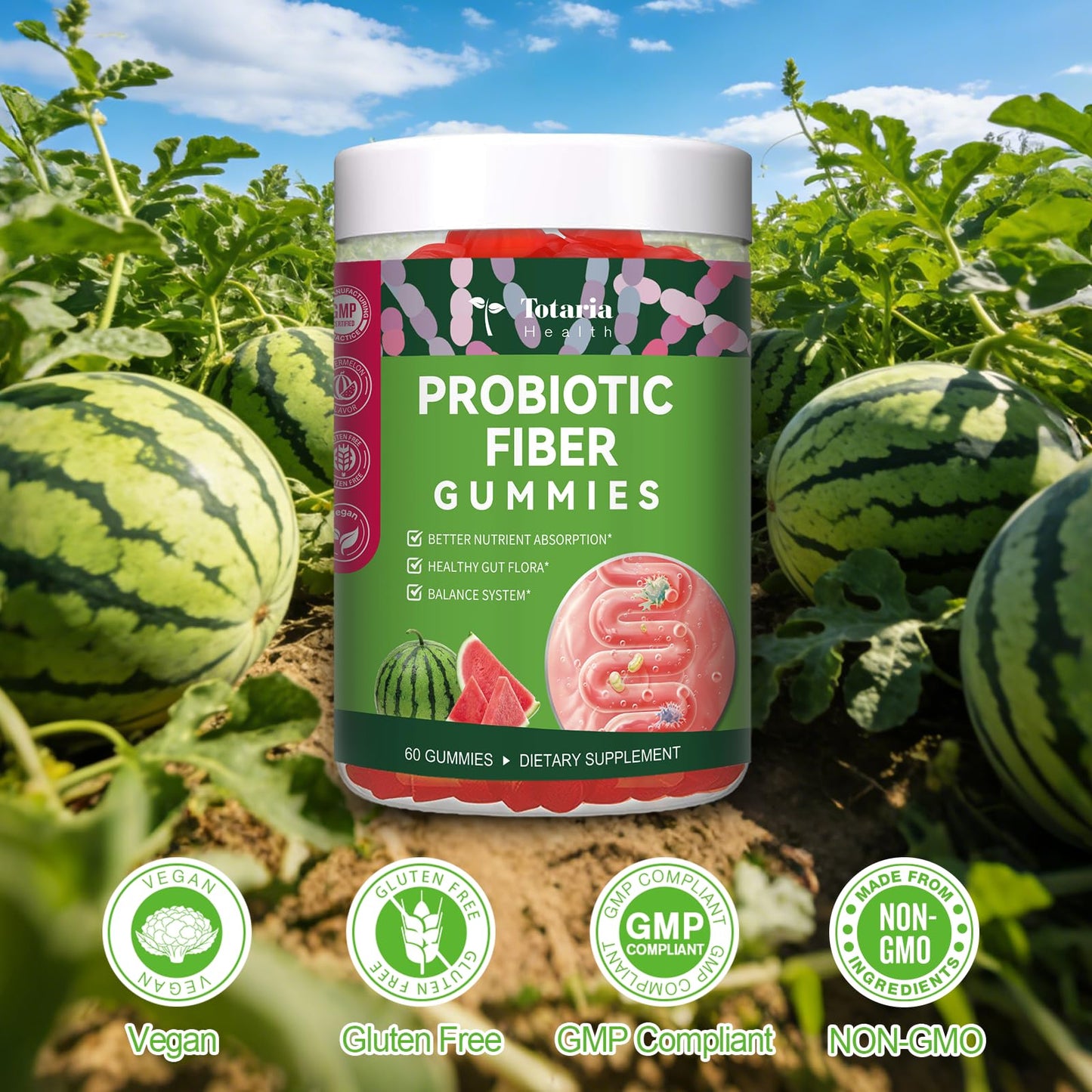 9-in-1 Probiotic Prebiotic Fiber Gummies for Adults & Teens, Sugar-free Fiber Supplement with Psyllium Husk, FOS, Inulin, ACV & 5 Billion CFU Bacillus Coagulans - Maple Wellness Supplements