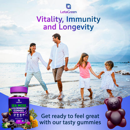 LetaGreen Irish Sea Moss Gummies - 60 Vegan Seamoss Gummies Bears LetaGreenBuy Supplements Australia
