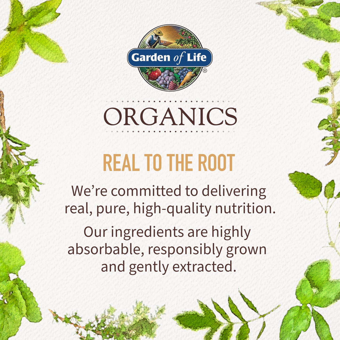 Garden of Life Organics Men 40+ Gummy Vitamins - Berry - Certified Organic, Non-GMO, Vegan, Kosher Complete Multi Garden of LifeBuy Supplements Australia
