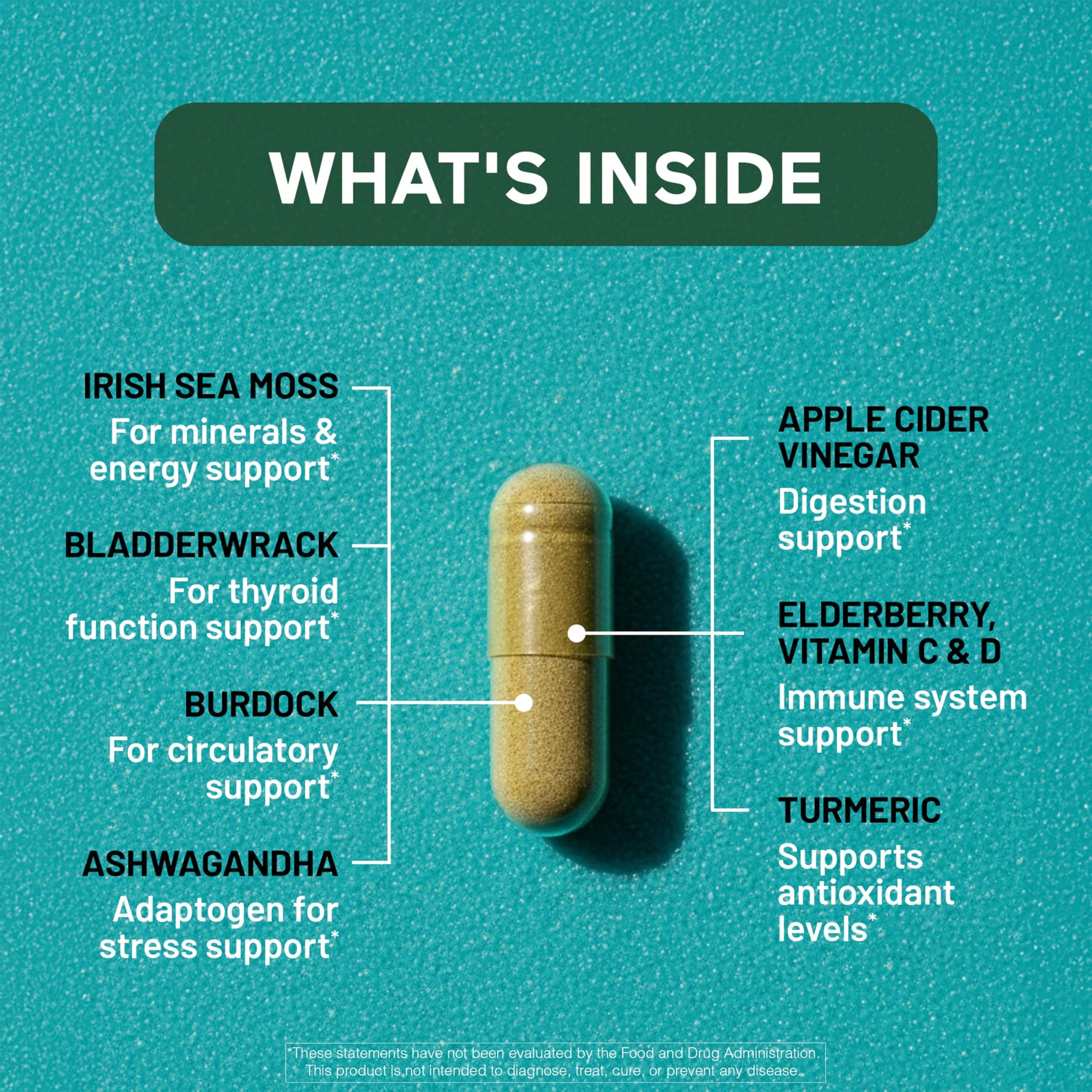 SMARTERNUTRITION Sea Moss Multimineral with Irish Sea Moss with Ashwagandha Bladderwrack Turmeric Zinc Vitamin C Elderberry Dandelion - Non-GMO, USA Manufactured - 60 Capsules[30 Day Supply] SMARTERNUTRITIONBuy Supplements Australia