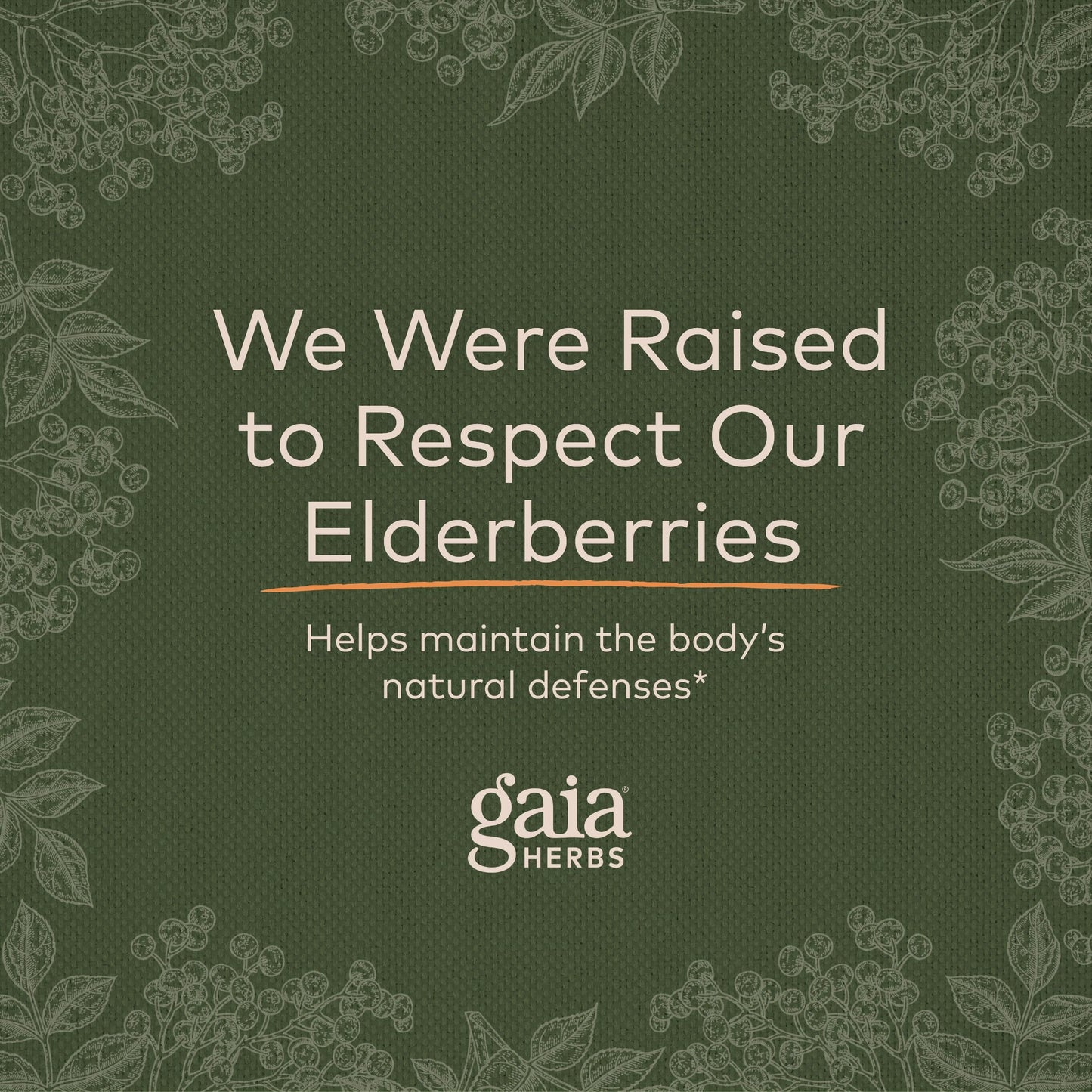 Gaia Herbs Black Elderberry (Sambucus Nigra) Extra Strength Gummies Gaia HerbsBuy Supplements Australia