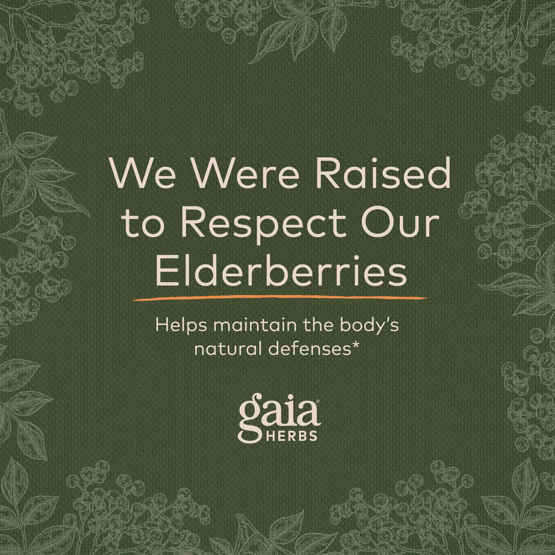 Gaia Herbs Black Elderberry (Sambucus Nigra) Extra Strength Gummies Gaia HerbsBuy Supplements Australia