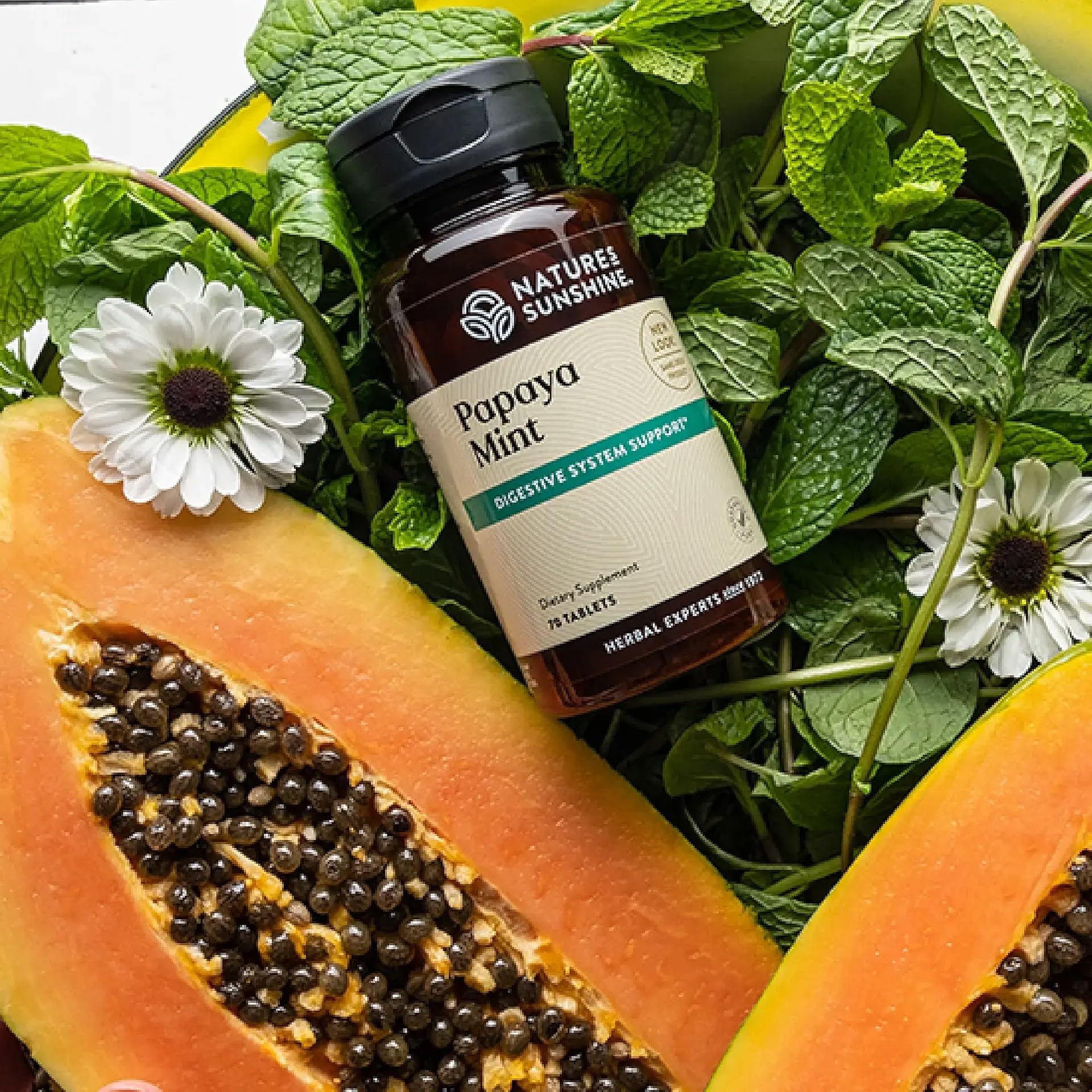 Papaya & Peppermint by Nature's Sunshine Nature's SunshineBuy Supplements Australia