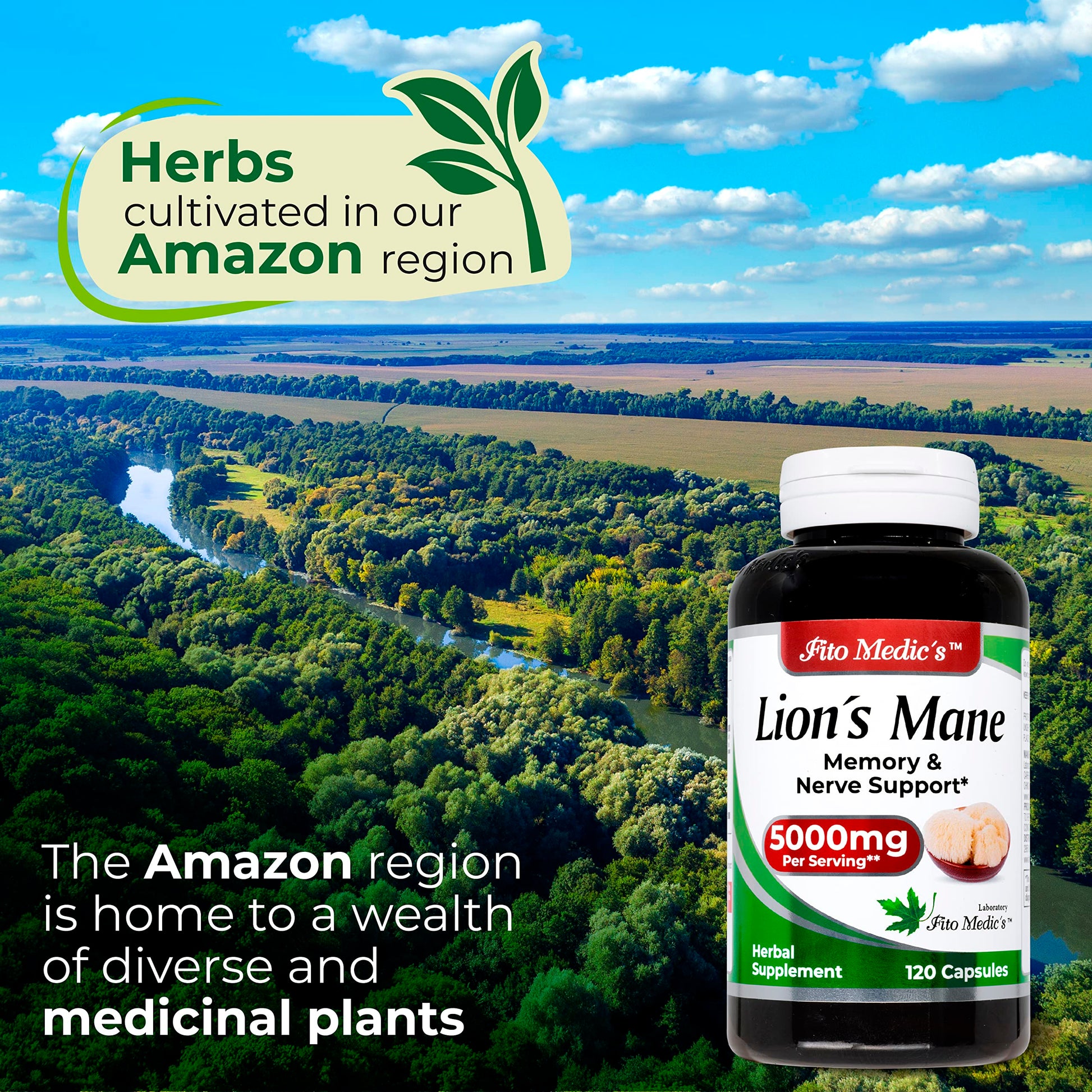 Lab | Lions Mane | 5000 mg per Serving | 120 Capsules | lions mane supplement | lions mane FITO MEDIC'SBuy Supplements Australia