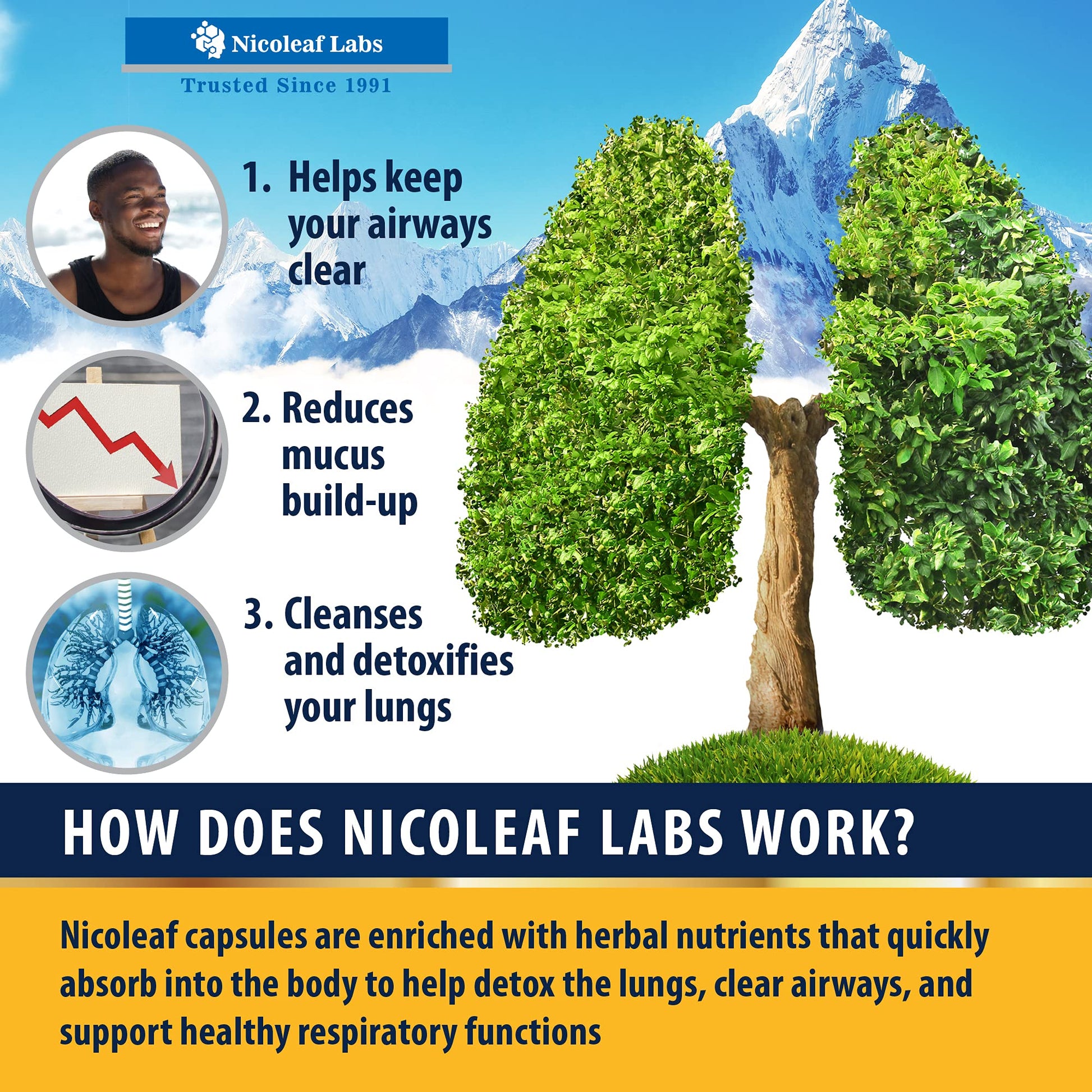 Smoker's Cleanse - Quit Smoking Aid & Respiratory Support - Made in USA NICOLEAF LABSBuy Supplements Australia