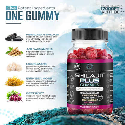 Nusalus Shilajit Plus Gummies – 5-in-1 Adaptogen Energy & Focus Supplement | Shilajit, Ashwagandha, Lion’s Mane, Sea Moss & Beet Root | Natural Energy & Stress Support | Made in USA, Vegan, 60ct NusalusBuy Supplements Australia