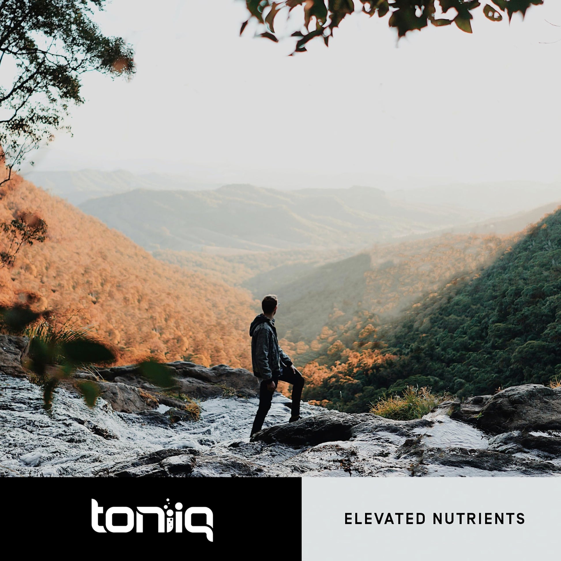 Toniiq 18,000mg 15x Concentrated Artichoke Extract Capsules - Ultra Concentrated ToniiqBuy Supplements Australia