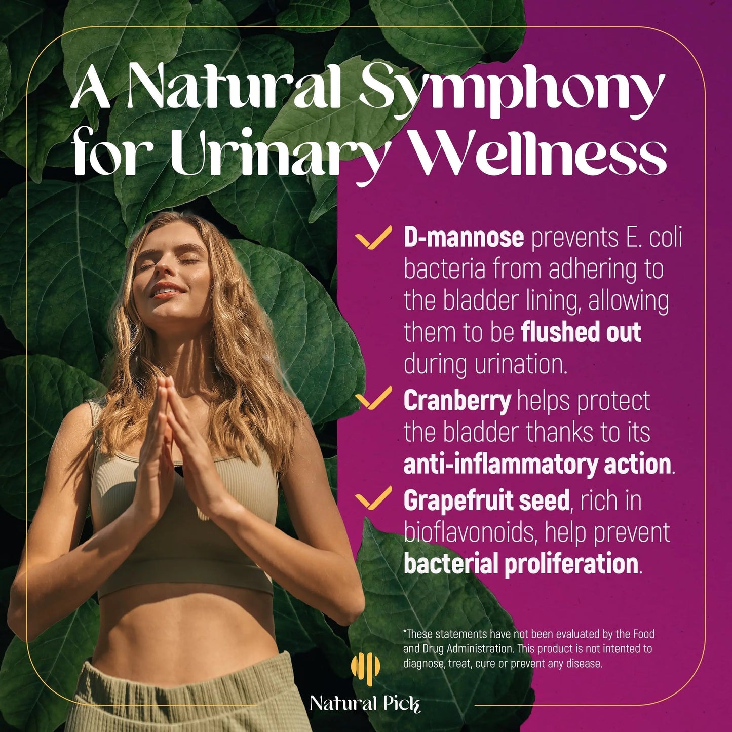 Natural Pick D-Mannose - Cranberry & Grapefruit – Cranberry Pills, UTI Treatment and Fast Relief for Women | Urinary Tract & Bladder Support. 90 Vegan Capsules, D mannose Supplements for Women Natural PickBuy Supplements Australia