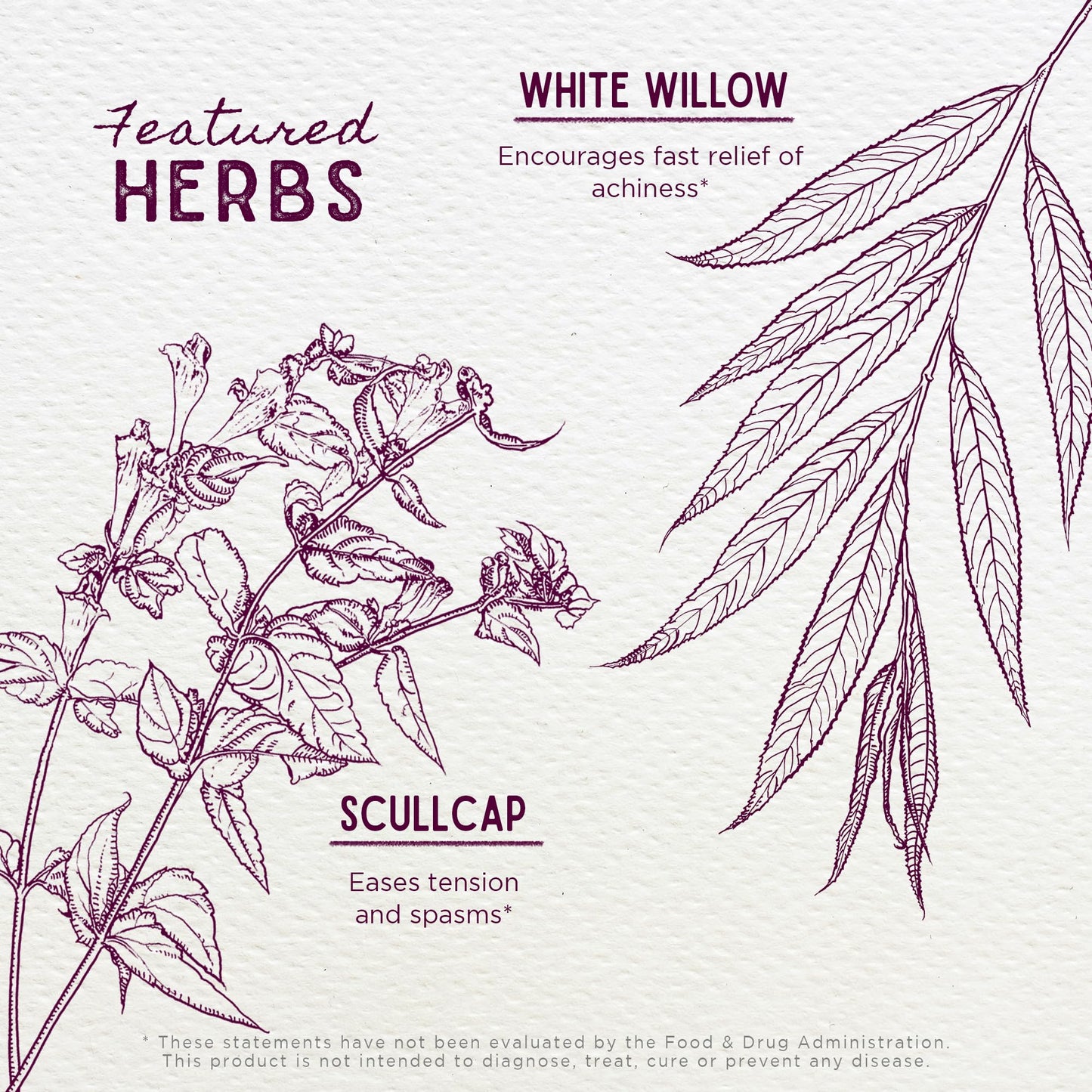 WishGarden Herbs Cranial Comfort - Plant-Based Herbal Supplement with White Willow Bark Extract, Lavender & Scullcap Supports Release of Head, Neck & Shoulders Tension, Stress & Muscle Tension, 4oz WishGardenBuy Supplements Australia