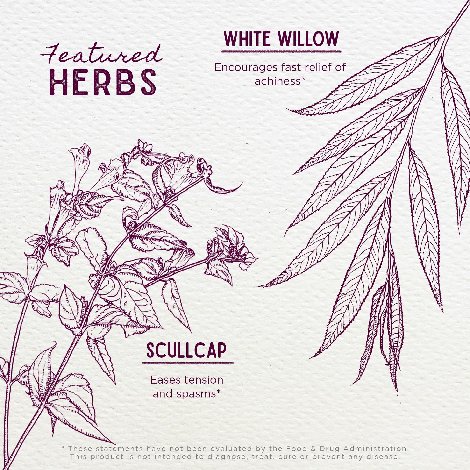 WishGarden Herbs Cranial Comfort - Plant-Based Herbal Supplement with White Willow Bark Extract, Lavender & Scullcap Supports Release of Head, Neck & Shoulders Tension, Stress & Muscle Tension, 4oz WishGardenBuy Supplements Australia