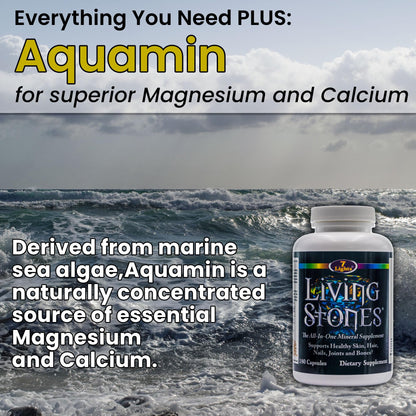 Living Stones, Complete Mineral Supplement with Zinc, Calcium, Magnesium, Selenium, Trace Minerals, No Added Iron, with MSM (Organic Sulfur) and Shilajit, Premium Absorption (30-Day Supply - 180 Caps) 7 LightsBuy Supplements Australia