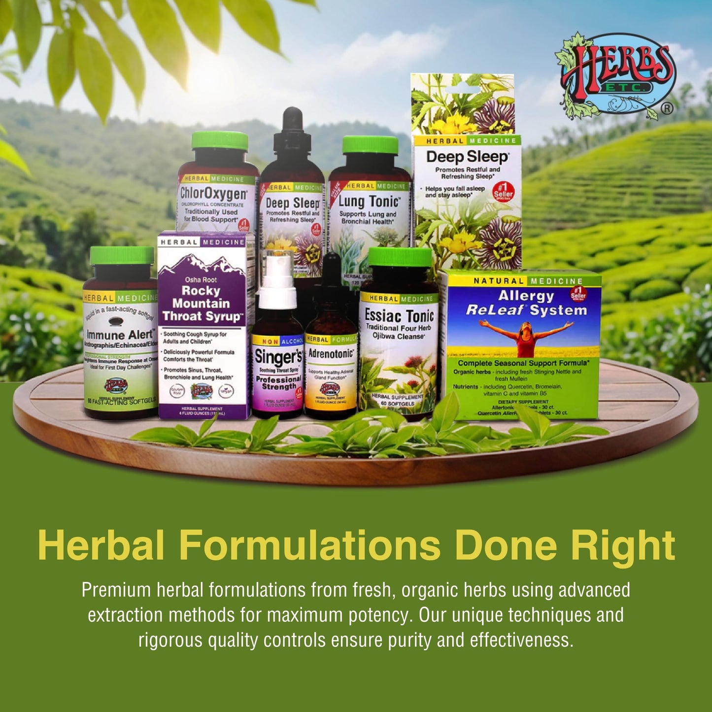 Herbs Etc. Phytocillin - Respiratory & Digestive Health Support Supplement - Herbal Formula to Support Digestion - Support Healthy Breathing - 60 Softgels (60 Servings) Herbs Etc.Buy Supplements Australia