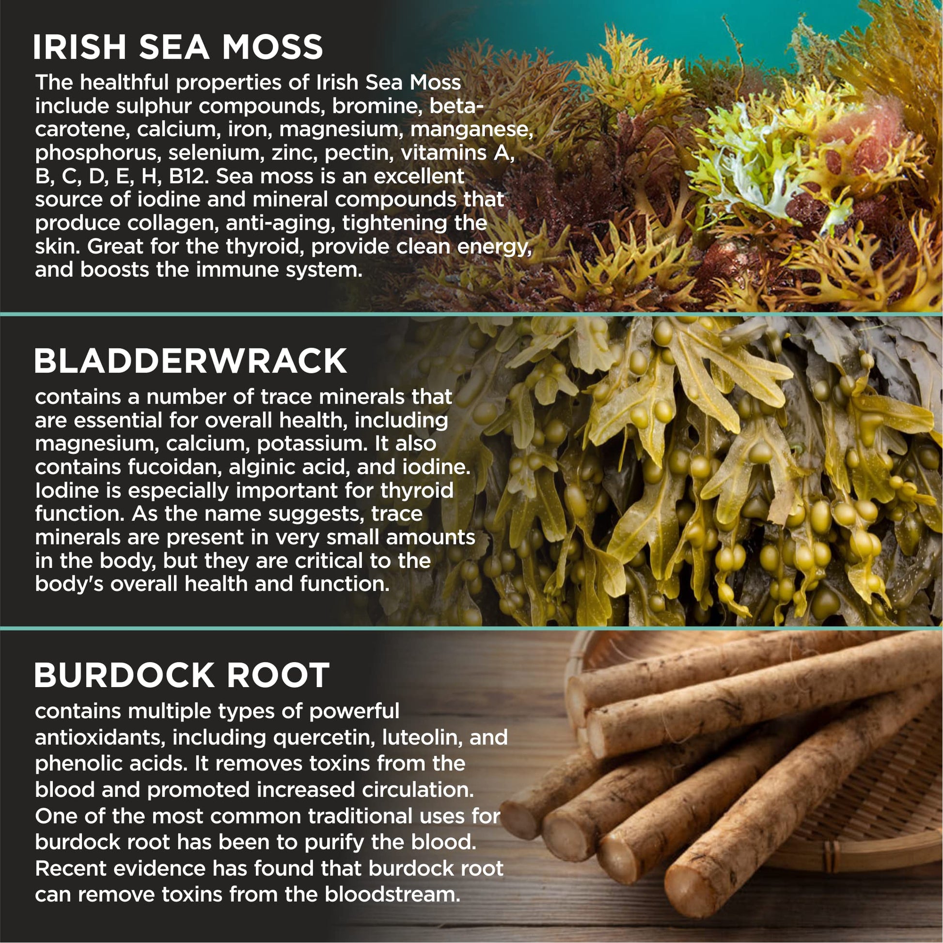 HerbaMe Organic Irish Sea Moss with Bladderwrack, Burdock Root & Black Pepper Extract, 150 Capsules, Thyroid Support, Natural Iodine Source, Promotes Immune System, Cell Food, Alkaline Supplement HerbaMeBuy Supplements Australia