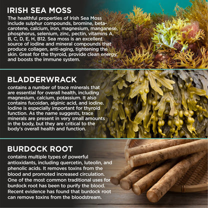 HerbaMe Organic Irish Sea Moss with Bladderwrack, Burdock Root & Black Pepper Extract, 150 Capsules, Thyroid Support, Natural Iodine Source, Promotes Immune System, Cell Food, Alkaline Supplement HerbaMeBuy Supplements Australia