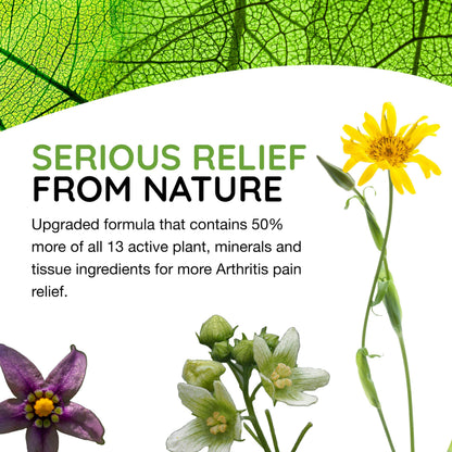 T-Relief Extra Strength Arthritis Pain Reliever Arnica +12 Natural Medicines for Joint Soreness Stiffness Aches, Quick Dissolving Pain Relief for Women & Men - 100 Tablets MediNaturaBuy Supplements Australia
