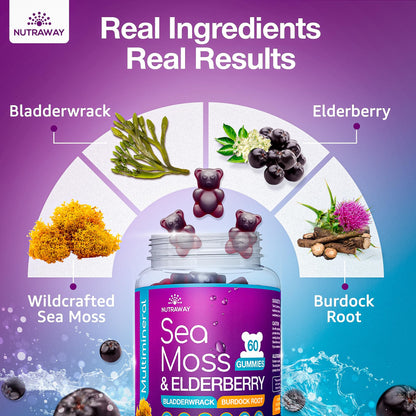 NUTRAWAY LABS Sea Moss Gummies with Elderberry, Vitamin C & Zinc - 102 Minerals from Irish Sea Moss, Bladderwrack & Burdock Root for Immune Support - Vegan Seamoss Supplement (Pack of 1) NUTRAWAY LABSBuy Supplements Australia