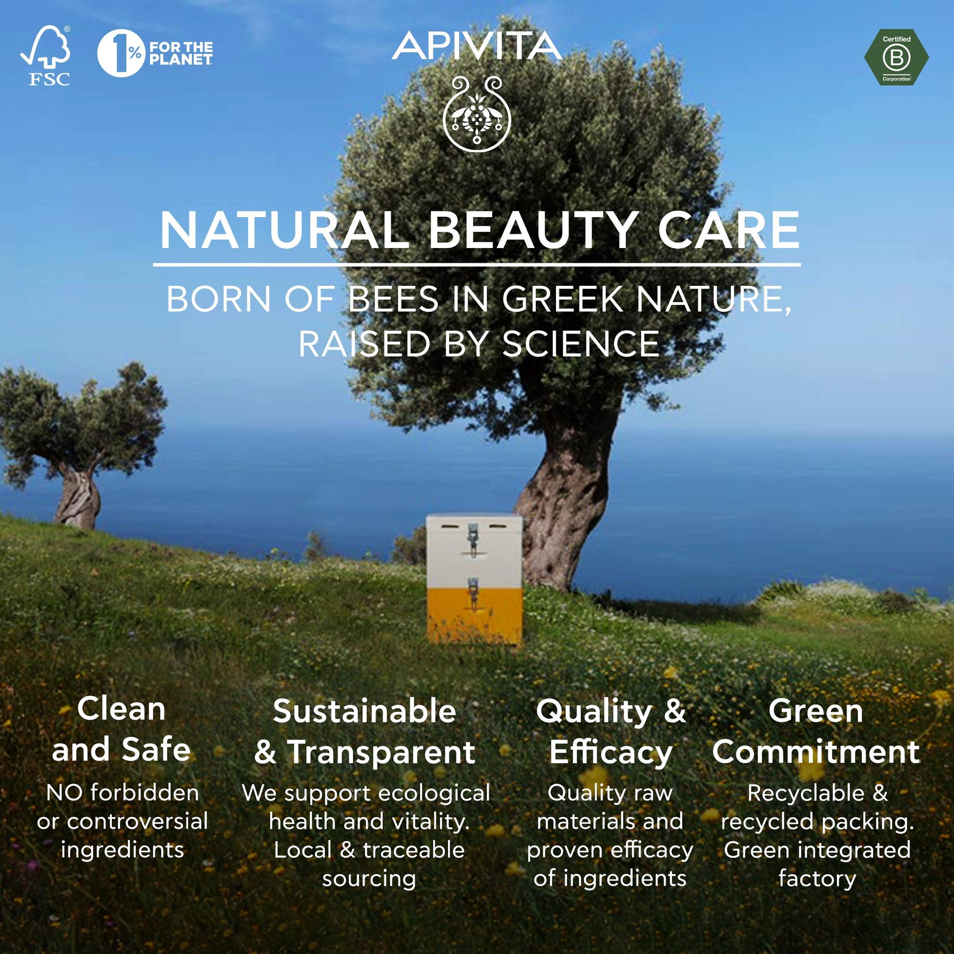 APIVITA Gentle Foam Cleanser for the Intimate Area, pH Balancing Feminine Wash ApivitaBuy Supplements Australia