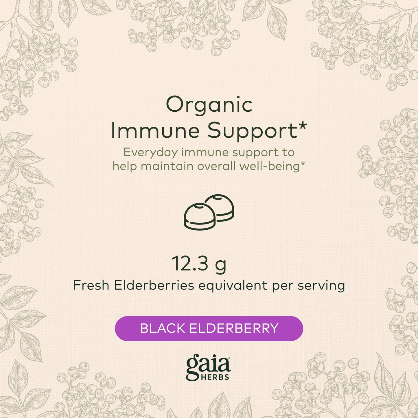 Gaia Herbs Black Elderberry (Sambucus Nigra) Extra Strength Gummies Gaia HerbsBuy Supplements Australia