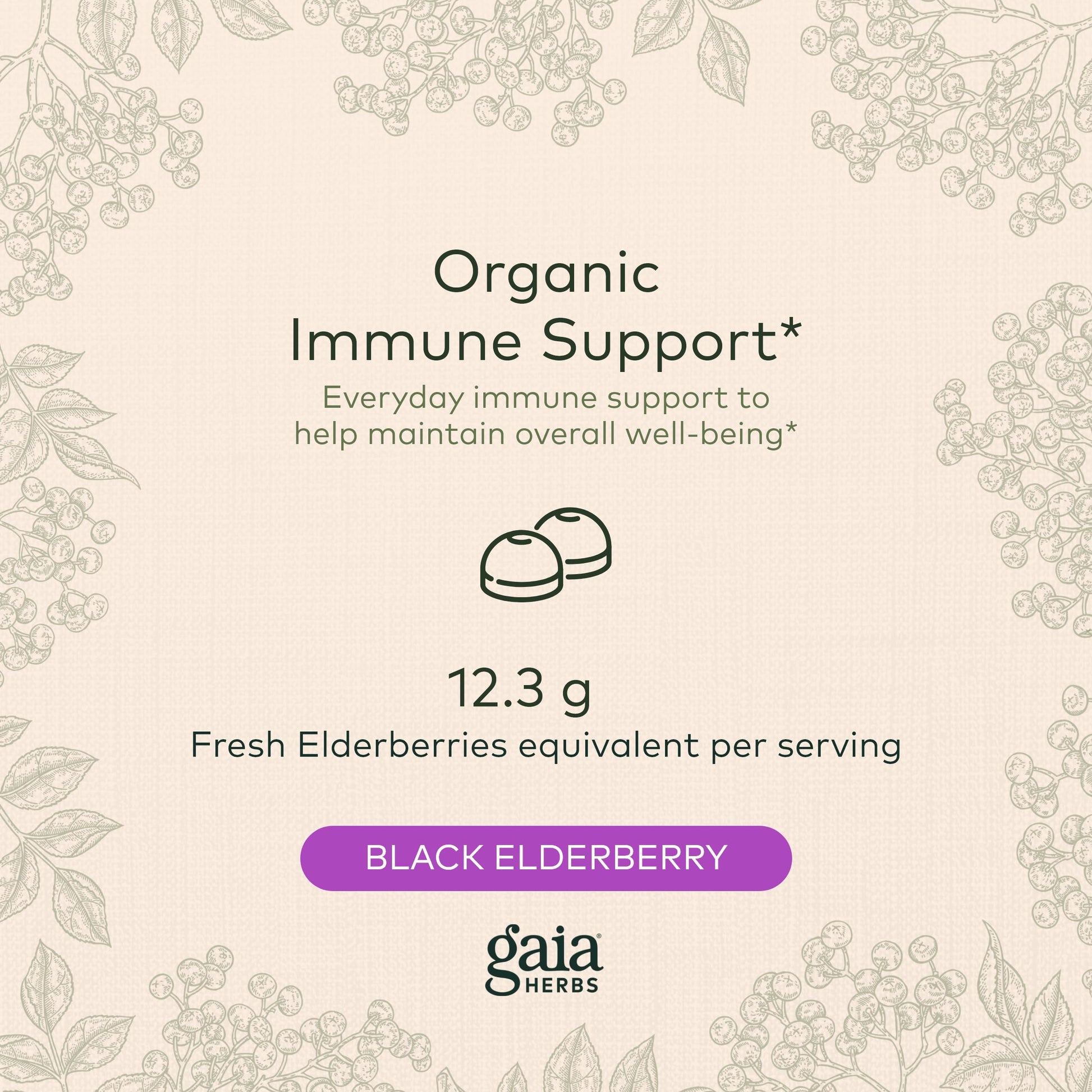 Gaia Herbs Black Elderberry (Sambucus Nigra) Extra Strength Gummies Gaia HerbsBuy Supplements Australia