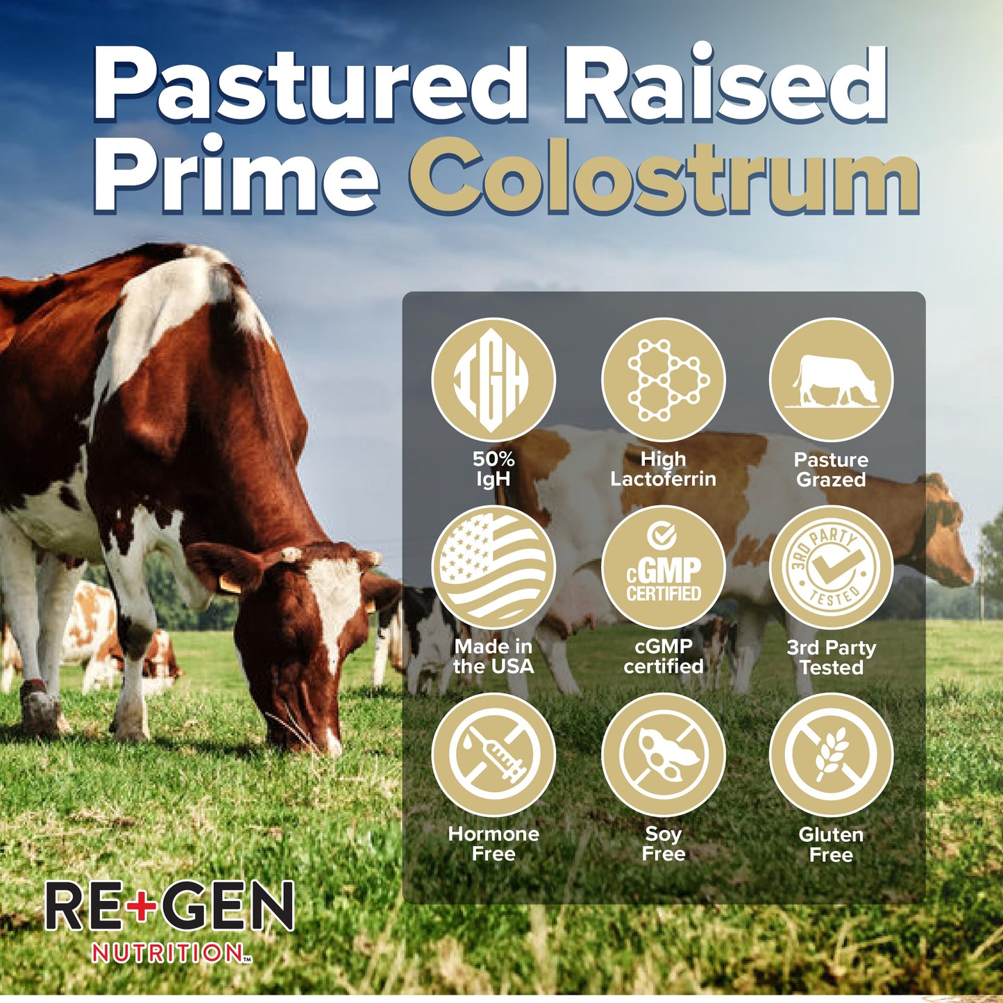 Re+Gen Nutrition Colostrum Gold 50 Bovine Colostrum Powder for Gut Health, Immune Support & Muscle Recovery – 50% IgG Concentration, Grass Fed, Gluten Free, No Artificial Ingredients Re+Gen NutritionBuy Supplements Australia