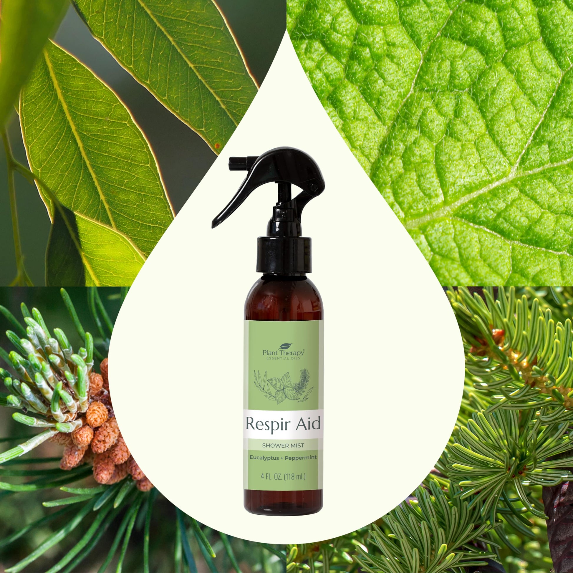 Plant Therapy Respir Aid Shower Mist 4 oz Refreshing & Crisp Aroma, Great to Help Clear Congestion Plant TherapyBuy Supplements Australia
