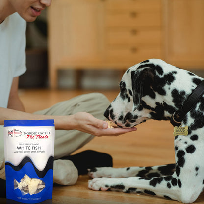 Nordic Catch Freeze Dried Fish Pet Treats from Iceland - Pure, All Natural Seafood Snacks for Dogs, Cats and Other Pets - Human Safe Ingredients, Made from Sashimi Grade Seafood - White Fish Nordic CatchBuy Supplements Australia