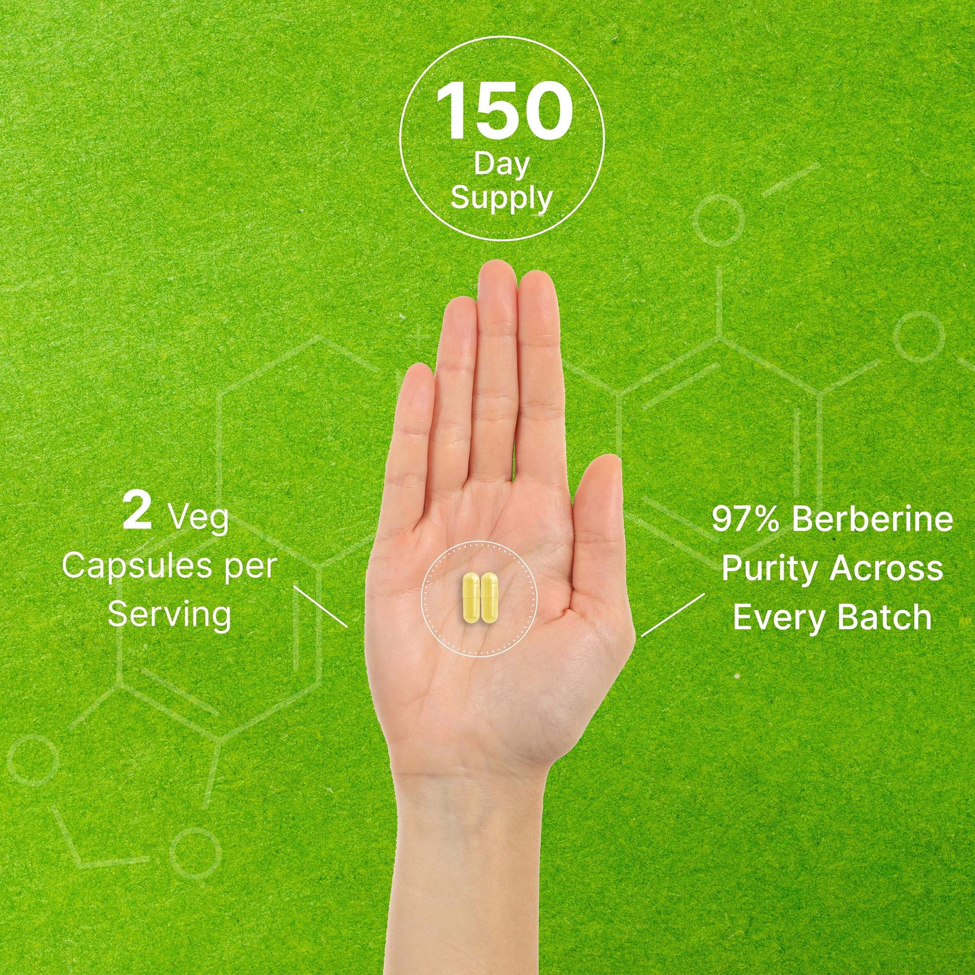 Berberine Supplement, 1,000mg Per Serving, 300 Veggie Capsules – 97% Pure Berberine DEAL SUPPLEMENTBuy Supplements Australia