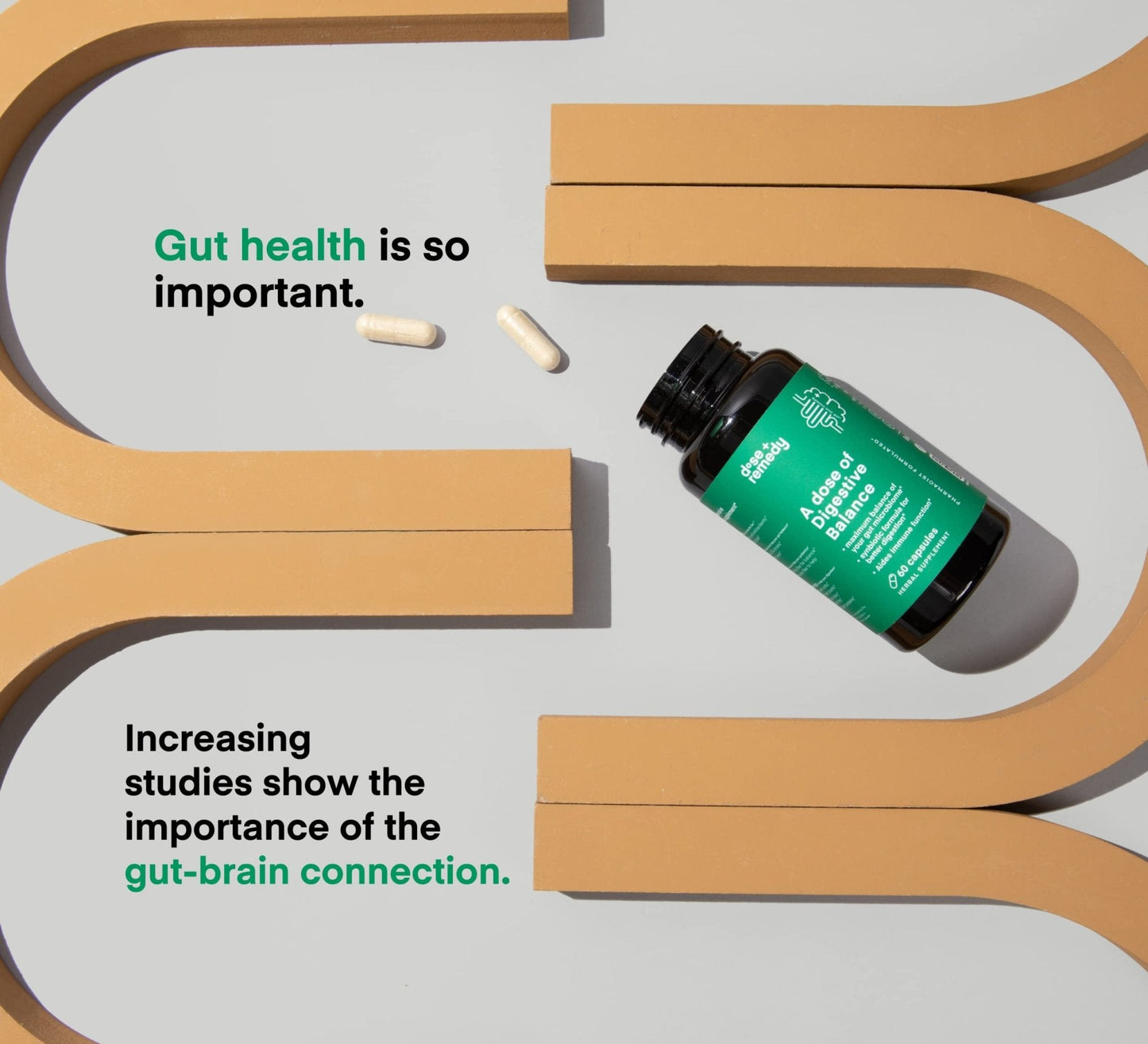 A dose of Digestive Balance-Gut Health Supplement-USDA-Kombucha, 7 Probiotic Strains and Prebiotics for Microbiome-Digestive Enzymes for Digestion - Maple Wellness Supplements