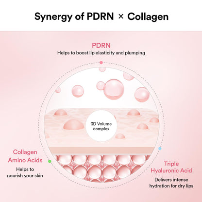 Abib PDRN Collagen Lip Mask Glazed Jelly 0.38 fl oz | Korean Lip Butter Balm Overnight Sleeping Mask Hydrating Care Moisturizer Treatment for Flakey, Dry Lips - Maple Wellness Supplements