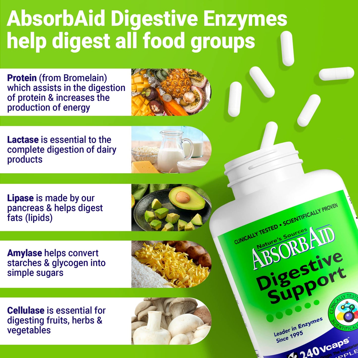 AbsorbAid Digestive Enzymes 240 vCaps, Proven to Increase Vital Nutrient Absorption by up to 71% - Maple Wellness Supplements