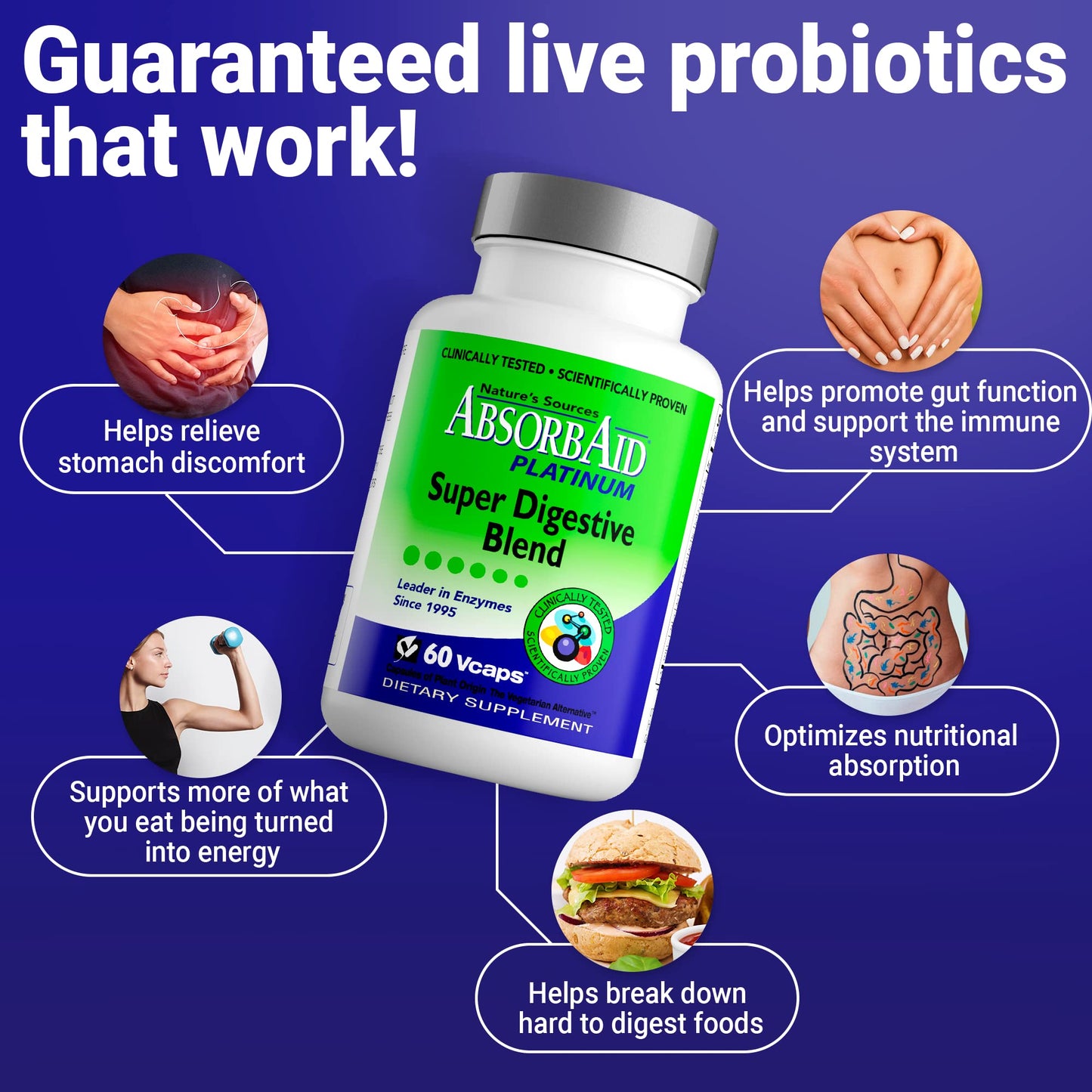 AbsorbAid Platinum Digestive Enzyme Support 60 vCaps, 12 Digestive Enzymes Plus 2 Probiotics for Maximum Relief - Maple Wellness Supplements